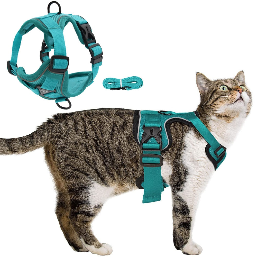 Coleira Para Gatos Para Caminhadas