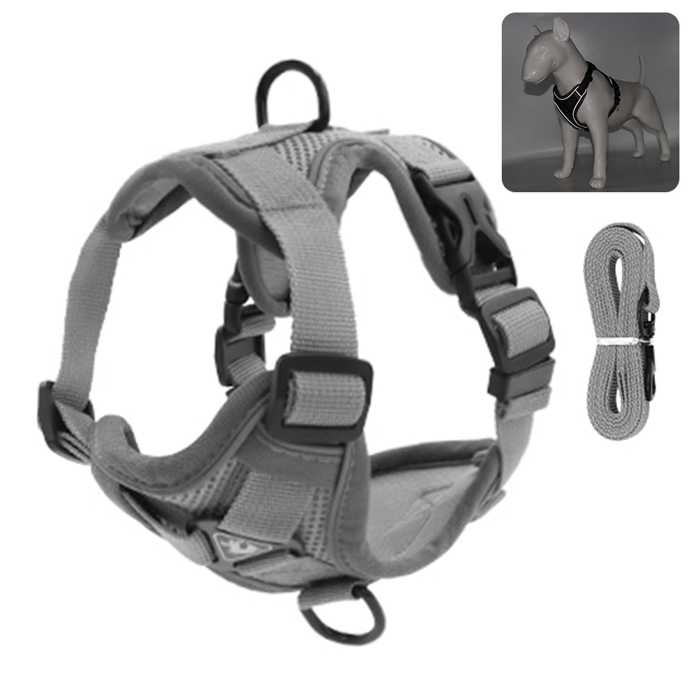 Coleira Para Gatos Para Caminhadas