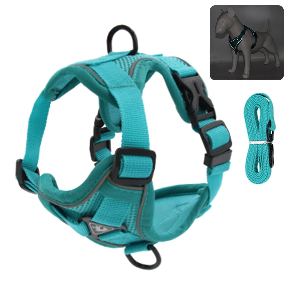 Coleira Para Gatos Para Caminhadas